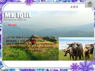 Mt.Iglit
in San Jose is a game sanctuary for the
tamaraw, a wild animal found of nowhere
else in the world, bearing a resemblance
to the Philippine buffalo, commonly
known as carabao.
J.N.Y
J.N.Y
 