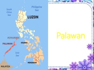 Palawan
 