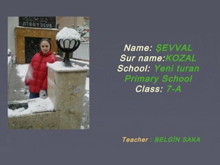 Name: ŞEVVAL
Sur name:KOZAL
School: Yeni turan
 Primary School
   Class: 7-A




 Teacher : BELGİN SAKA
 