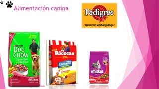 Alumno: Calle Angeles Alisson
Alimentación canina
 