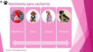 Alumno: Calle Angeles Alisson
Vestimenta para cachorros
Deportiva Gala Casual Invierno
 
