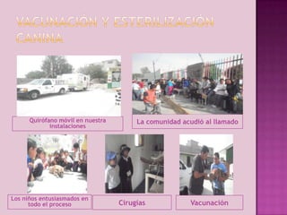 Quirófano móvil en nuestra
instalaciones

Los niños entusiasmados en
todo el proceso

La comunidad acudió al llamado

Cirugías

Vacunación

 