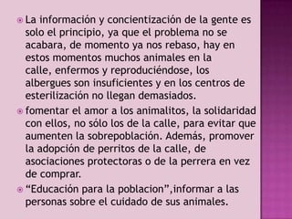  La

información y concientización de la gente es
solo el principio, ya que el problema no se
acabara, de momento ya nos rebaso, hay en
estos momentos muchos animales en la
calle, enfermos y reproduciéndose, los
albergues son insuficientes y en los centros de
esterilización no llegan demasiados.
 fomentar el amor a los animalitos, la solidaridad
con ellos, no sólo los de la calle, para evitar que
aumenten la sobrepoblación. Además, promover
la adopción de perritos de la calle, de
asociaciones protectoras o de la perrera en vez
de comprar.
 “Educación para la poblacion”,informar a las
personas sobre el cuidado de sus animales.

 