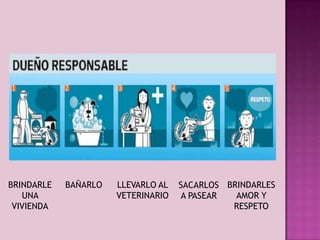 BRINDARLE
UNA
VIVIENDA

BAÑARLO

LLEVARLO AL
VETERINARIO

SACARLOS BRINDARLES
AMOR Y
A PASEAR
RESPETO

 