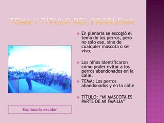 

En plenaria se escogió el
tema de los perros, pero
no sólo ese, sino de
cualquier mascota o ser
vivo.



Los niños identificaron
cómo poder evitar a los
perros abandonados en la
calle.
TEMA: Los perros
abandonados y en la calle.





Explanada escolar

TÍTULO: “MI MASCOTA ES
PARTE DE MI FAMILIA”

 
