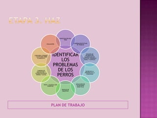 INVESTIGACIÓN DEL
TEMA
ELABORACION DE PLAN
DE TRABAJO

EVALUACIÓN

CONCURSO LITERARIO
: «PLATICAME SOBRE
TU MASCOTA»

CAMPAÑA DE
VACUNACIÓN Y
ESTERILIZACIÓN DE
PERROS Y GATOS

IDENTIFICAR
LOS
PROBLEMAS
DE LOS
PERROS

DIFUSIÓN DE
INFORMACIÓN:
ELABORACION DE
TRÍPTICOS, PERIODICO
MURAL Y CARTELES

APLICACIÓN DE
SITUACIONES
DIDÁCTICAS

VISITA Y PLÁTICA CON
EXPERTOS
DESFILES DE
MASCOTAS

PLAN DE TRABAJO

ENTREVISTA A
PERSONAS DE LA
COMUNIDAD

 