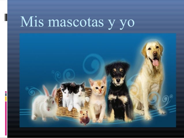Resultado de imagen para mI MASCOTA Y YO
