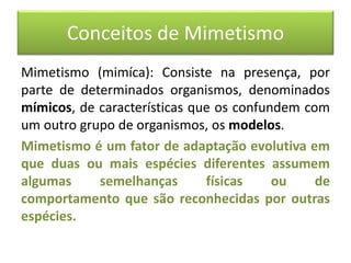 Conceitos de Mimetismo
Mimetismo (mimíca): Consiste na presença, por
parte de determinados organismos, denominados
mímicos, de características que os confundem com
um outro grupo de organismos, os modelos.
Mimetismo é um fator de adaptação evolutiva em
que duas ou mais espécies diferentes assumem
algumas semelhanças físicas ou de
comportamento que são reconhecidas por outras
espécies.
 
