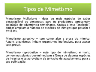 Mimetismo Mulleriano - duas ou mais espécies de sabor
desagradável ou venenosas para os predadores apresentam
coloração de advertência semelhante. Graças a essa “analogia”,
ambas ampliam o número de espécies de inimigos que passam a
evitá-las.
Mimetismo agressivo – tem como alvo a presa do mímico.
Alguns organismos imitam organismos inofensivos, para atacar
suas presas
Mimetismo reprodutivo – este tipo de mimetismo é muito
comum nas plantas que mimetizam a fêmea de algumas espécies
de insectos e se aproveitam da tentativa de acasalamento para a
sua polinização.
Tipos de Mimetismo
 