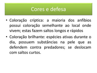 Cores e defesa
• Coloração críptica: a maioria dos anfíbios
possui coloração semelhante ao local onde
vivem; estas fazem saltos longos e rápidos
• Coloração brilhante: espécies ativas durante o
dia, possuem substâncias na pele que as
defendem contra predadores; se deslocam
com saltos curtos.
 