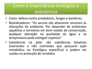 Cores e importância ecológica e
econômica
• Cores: defesa contra predadores, fungos e bactérias;
• Bioindicadores: “Os anuros são altamente sensíveis às
alterações do ambiente. Por depender de ambientes
aquáticos e terrestres em bom estado de conservação,
qualquer alteração na qualidade da água e na
temperatura pode extinguir espécies”
• Substâncias na pele: são substâncias bioativas
(nutrientes e não nutrientes que possuem ação
metabólica ou fisiológica específica) e podem ser
usadas na produção de remédios
 