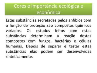 Cores e importância ecológica e
econômica
Estas substâncias secretadas pelos anfíbios com
a função de proteção são compostos químicos
variados. Os estudos feitos com estas
substâncias determinam a reação destes
compostos com fungos, bactérias e células
humanas. Depois de separar e testar estas
substâncias elas podem ser desenvolvidas
sinteticamente.
 