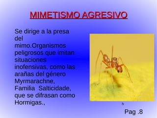 MIMETISMO AGRESIVO
Se dirige a la presa
del
mimo.Organismos
peligrosos que imitan
situaciones
inofensivas, como las
arañas del género
Myrmarachne,
Familia Salticidade,
que se difrasan como
Hormigas.,              h

                            Pag .8
 