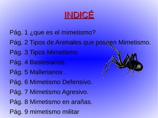 INDICÉ
Pág. 1 ¿que es el mimetismo?
Pág. 2 Tipos de Animales que poseen Mimetismo.
Pág. 3 Tipos Mimetismo
Pág. 4 Bastesianos.
Pág. 5 Mallerianos .
Pág. 6 Mimetismo Defensivo.
Pág. 7 Mimetismo Agresivo.
Pág. 8 Mimetismo en arañas.
Pág. 9 mimetismo militar
 
