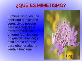 ¿QUE ES MIMETISMO?

El mimetismo es una
habilidad que ciertos
seres vivos poseen
para asemejarse a
otros seres de su
entorno (con los que
no guarda relación) y
a su propio entorno
para obtener alguna
ventaja funcional.

                          Pag.1
 