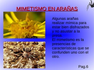 MIMETISMO EN ARAÑAS
           Algunas arañas
           realizar mímica para
           estar bien disfrazados
           y no asustar a la
           presa.
           El mimetismo es la
           presencias de
           características que se
           confunden uno con el
           otro.

                          Pag.6
 