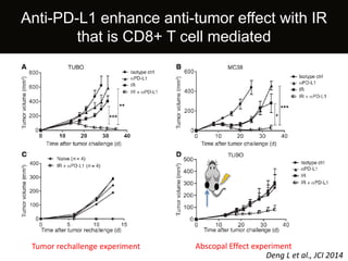 Role of Radiation Therapy for Lung Cancer | PPTX