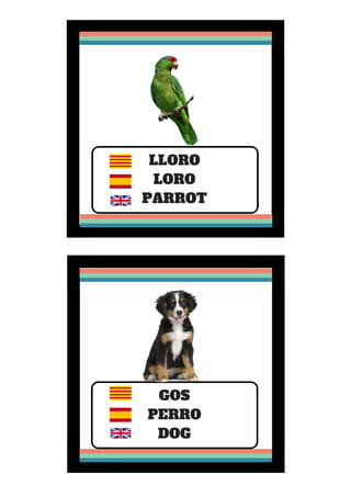 LLORO
LORO
PARROT
GOS
PERRO
DOG
 