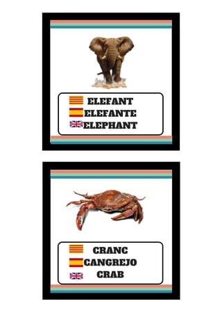 ELEFANT
ELEFANTE
ELEPHANT
CRANC
CANGREJO
CRAB
 