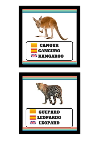 CANGUR
CANGURO
   KANGAROO
GUEPARD
LEOPARDO
LEOPARD
 
