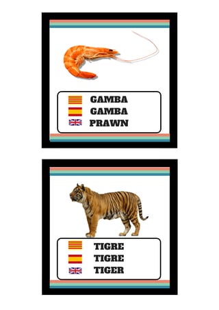 GAMBA
GAMBA
PRAWN
TIGRE
TIGRE
TIGER
 