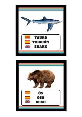 TAURÓ
TIBURÓN
SHARK
ÓS
OSO
BEAR
 