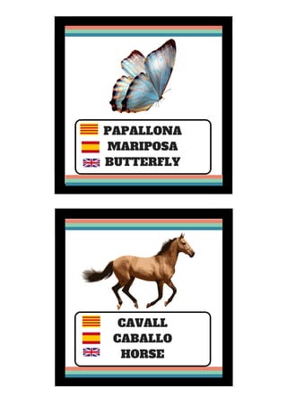 PAPALLONA
MARIPOSA
BUTTERFLY
CAVALL
CABALLO
HORSE
 