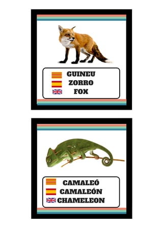 GUINEU
ZORRO
FOX
CAMALEÓ
CAMALEÓN
CHAMELEON
 