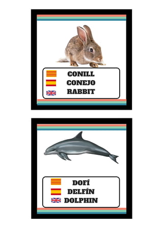 CONILL
CONEJO
RABBIT
DOFÍ
DELFÍN
DOLPHIN
 