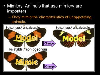 Mimicry Lesson PowerPoint, Animals, Environment, | PPT