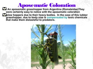 Mimicry in insects | PPT