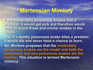 Mertensian Mimicry
• If the moderately poisonous snakes bite aIf the moderately poisonous snakes bite a
predator, it would get sick and therefore wouldpredator, it would get sick and therefore would
learn to avoid those and similar snakes in thelearn to avoid those and similar snakes in the
future.future.
• But, if a deadly poisonous snake bites a predator,But, if a deadly poisonous snake bites a predator,
it would die and never have a chance to learn.it would die and never have a chance to learn.
• So, Mertens proposes that theSo, Mertens proposes that the moderatelymoderately
poisonous snakes are the model and both thepoisonous snakes are the model and both the
poisonous and non-poisonous snakes are thepoisonous and non-poisonous snakes are the
mimicsmimics. This situation is termed Mertensian. This situation is termed Mertensian
mimicrymimicry
 