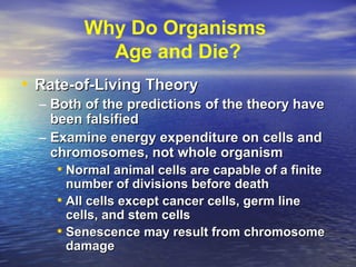 Why Do Organisms
Age and Die?
• Rate-of-Living TheoryRate-of-Living Theory
– Both of the predictions of the theory haveBoth of the predictions of the theory have
been falsifiedbeen falsified
– Examine energy expenditure on cells andExamine energy expenditure on cells and
chromosomes, not whole organismchromosomes, not whole organism
• Normal animal cells are capable of a finiteNormal animal cells are capable of a finite
number of divisions before deathnumber of divisions before death
• All cells except cancer cells, germ lineAll cells except cancer cells, germ line
cells, and stem cellscells, and stem cells
• Senescence may result from chromosomeSenescence may result from chromosome
damagedamage
 