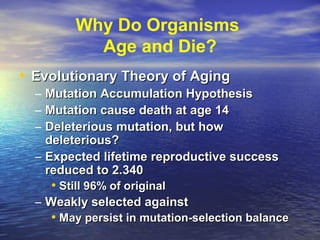 Why Do Organisms
Age and Die?
• Evolutionary Theory of AgingEvolutionary Theory of Aging
– Mutation Accumulation HypothesisMutation Accumulation Hypothesis
– Mutation cause death at age 14Mutation cause death at age 14
– Deleterious mutation, but howDeleterious mutation, but how
deleterious?deleterious?
– Expected lifetime reproductive successExpected lifetime reproductive success
reduced to 2.340reduced to 2.340
• Still 96% of originalStill 96% of original
– Weakly selected againstWeakly selected against
• May persist in mutation-selection balanceMay persist in mutation-selection balance
 