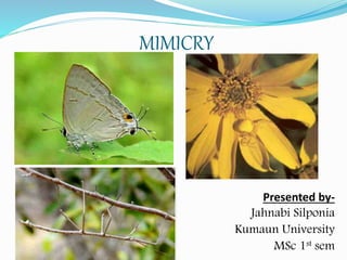MIMICRY
Presented by-
Jahnabi Silponia
Kumaun University
MSc 1st sem
 