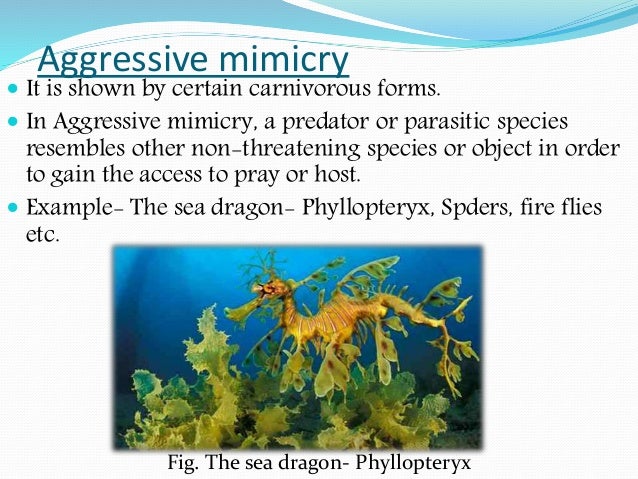 Mimicry (Evolutionary Biology)