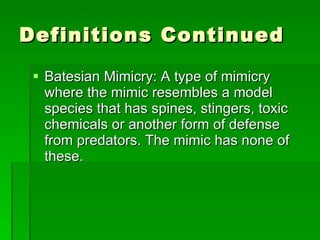 Definitions Continued Batesian Mimicry: A type of mimicry where the mimic resembles a model species that has spines, stingers, toxic chemicals or another form of defense from predators. The mimic has none of these.  
