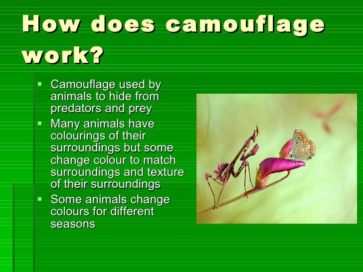 Mimicry and Camouflage