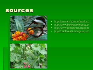 sources http://animals.howstuffworks.com/animal-facts/animal-camouflage3.htm http://www.biologyreference.com/Ma-Mo/Mimicry-Camouflage-and-Warning-Coloration.html http://www.greenwing.org/teachersguide/fall00activity/fall00ma.html http://rainforests.mongabay.com/0306.htm 
