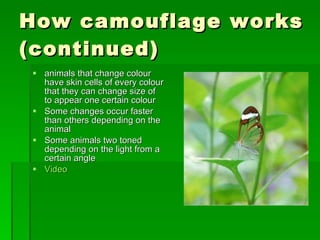How camouflage works (continued) animals that change colour have skin cells of every colour that they can change size of to appear one certain colour  Some changes occur faster than others depending on the animal Some animals two toned depending on the light from a certain angle Video 
