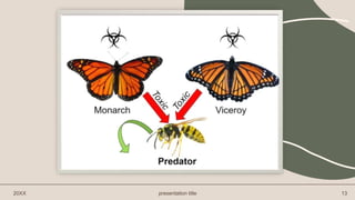 20XX presentation title 13
 