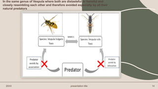 20XX presentation title 14
In the same genus of Vespula where both are distasteful or harmful and
closely resembling each other and therefore avoided especially by all their
natural predators
 