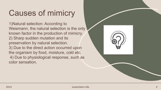 1)Natural selection: According to
Weismann, the natural selection is the only
known factor in the production of mimicry.
2) Sharp sudden mutation and its
preservation by natural selection.
3) Due to the direct action occurred upon
the organism by food, moisture, cold etc.
4) Due to physiological response, such as
color sensation.
20XX presentation title 6
Causes of mimicry
 