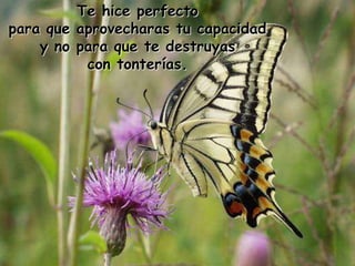 Te hice perfecto para que aprovecharas tu capacidad y no para que te destruyas con tonterías. 