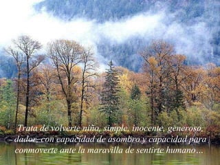 Trata de volverte niño, simple, inocente, generoso, dador, con capacidad de asombro y capacidad para conmoverte ante la maravilla de sentirte humano…  