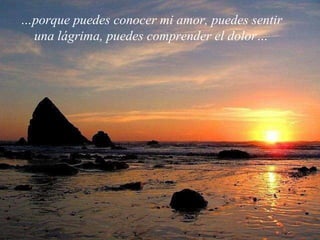 … porque puedes conocer mi amor, puedes sentir una lágrima, puedes comprender el dolor… 