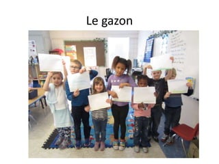 Le gazon

 