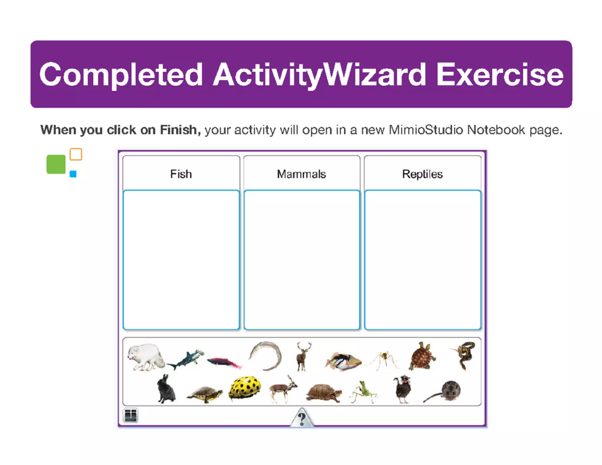 Mimio Activity Wizard Basics