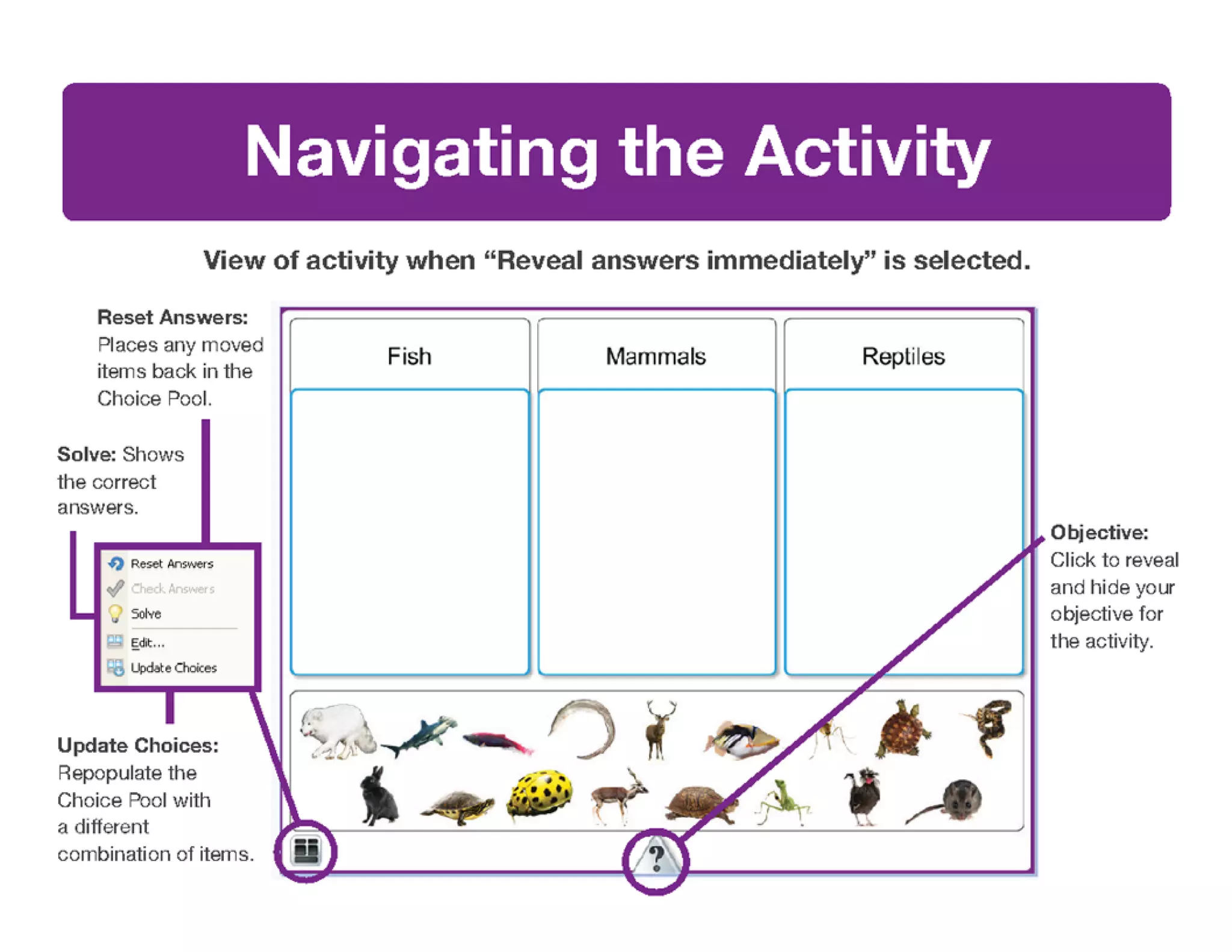 Mimio Activity Wizard Basics
