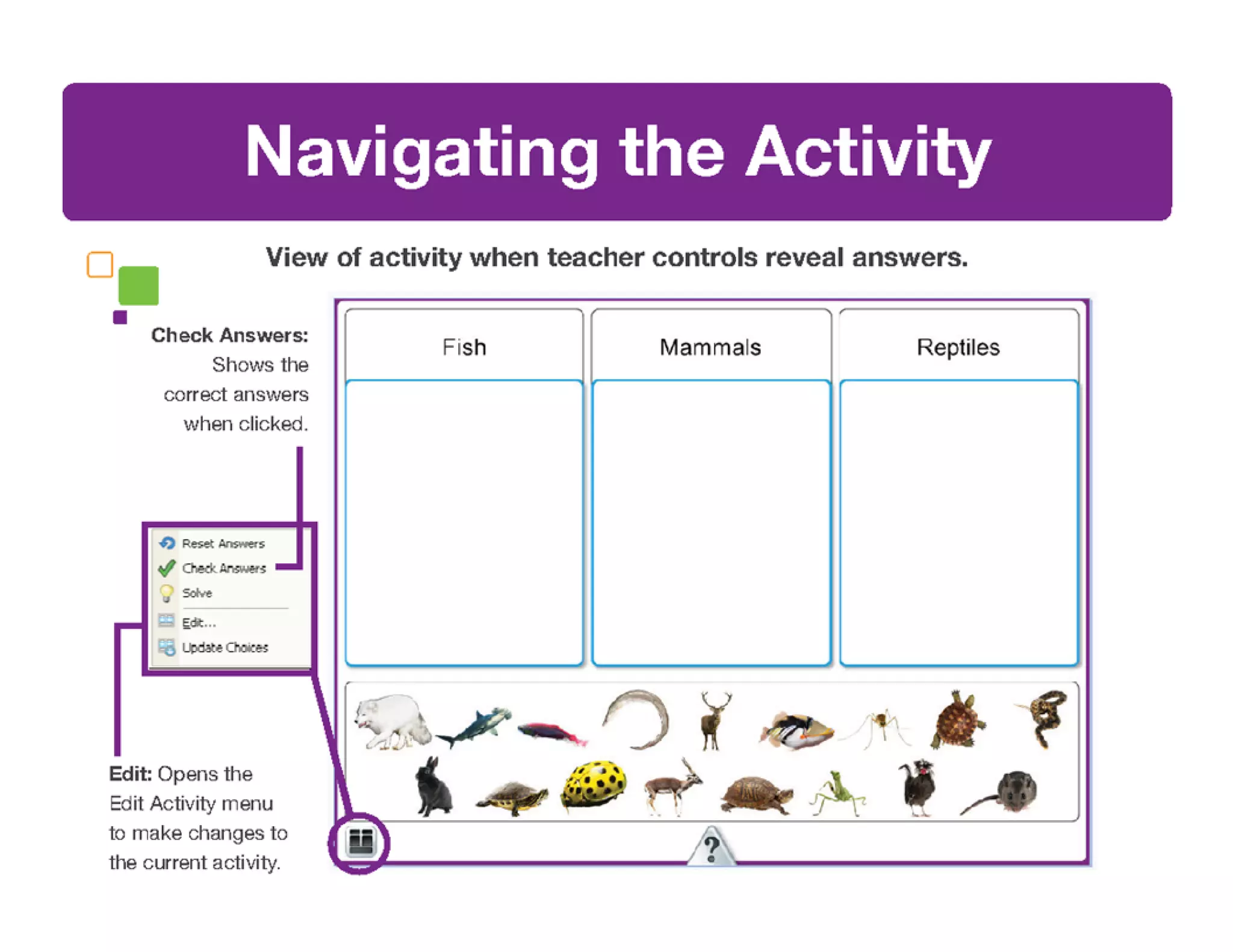 Mimio Activity Wizard Basics